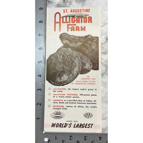 St Augustine Alligator Farm Brochure Florida Travel Souvenir Pamphlet Hwy A1A - Picture 4 of 6